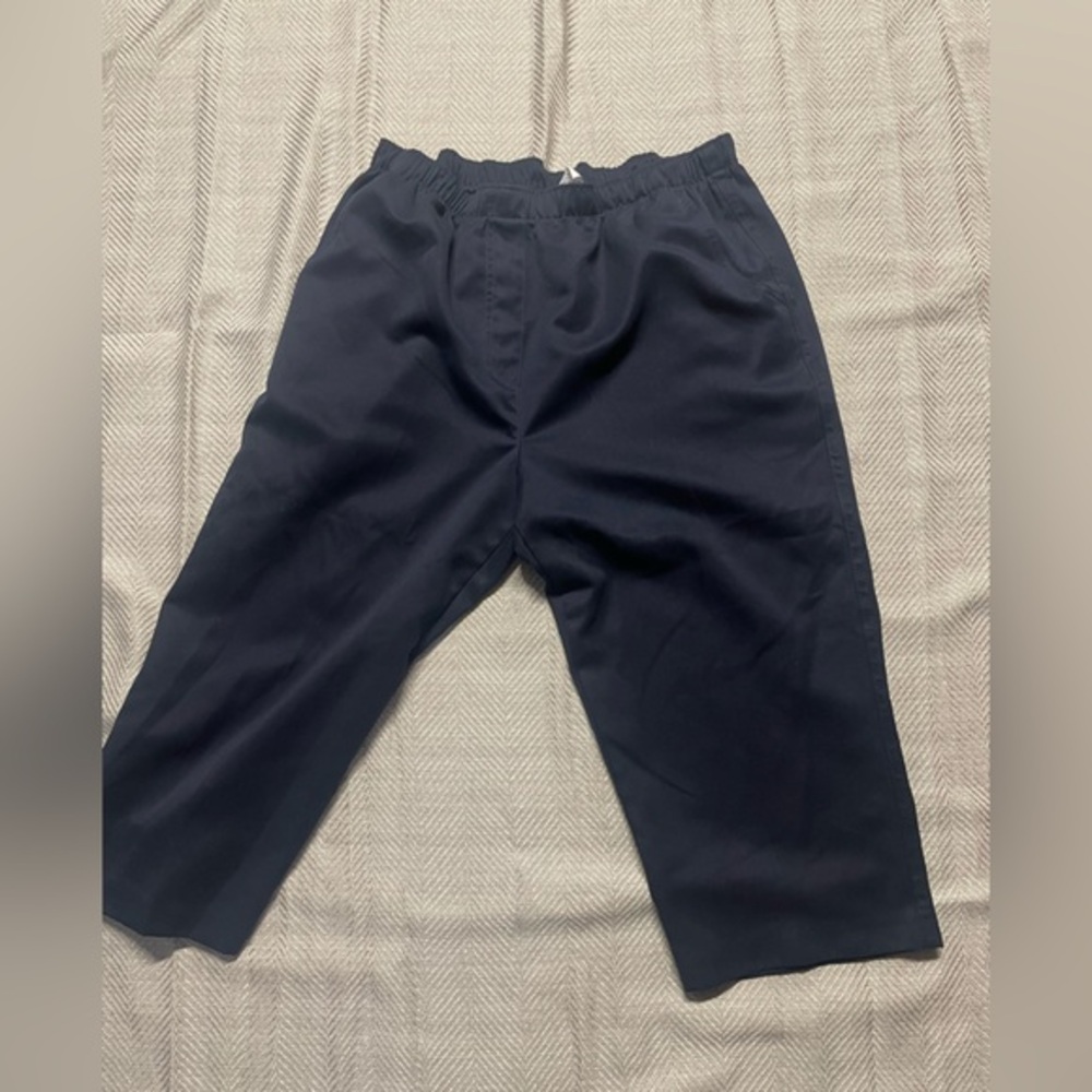 ALIA petites size 10P Capri pants